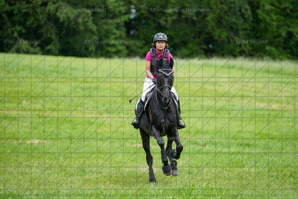 20240518-FAH03931 | Turnierbilder von Niederseon, Turnierfotografen Bayern, Fotoagentur Herrmann, Geländebilder, Reitsportfotografie