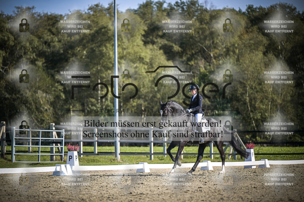 DOS_2990 | Entdecke hochwertige Reitturnierfotos von Foto Oger. Professionell, emotional und authentisch – jetzt Lieblingsmomente im Shop bestellen.Deutschlandweite Turnierfotografie. - Realisiert mit Pictrs.com