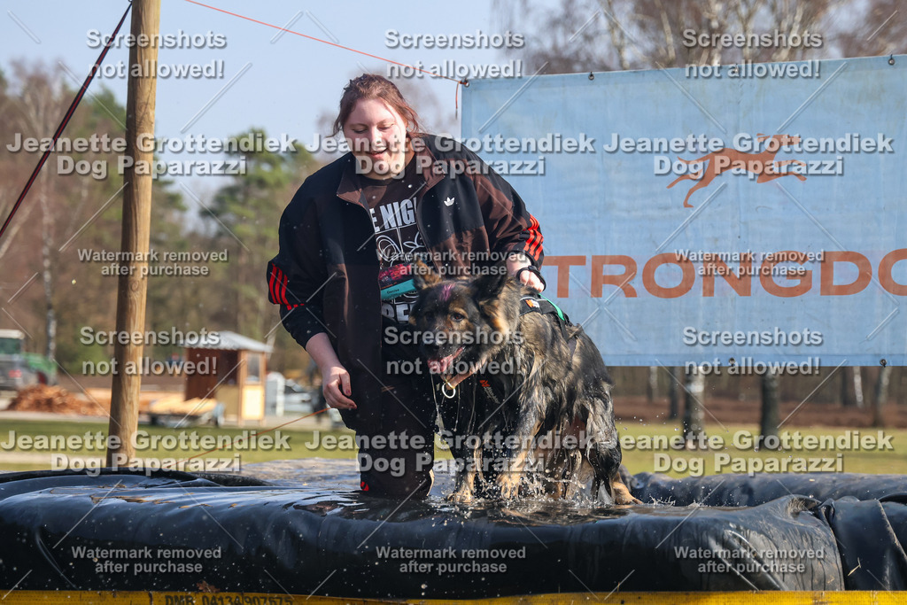 Dog Paparazzi - Strongdog North Mrz26-1882 | Dog Paparazzi Jeanette Grottendiek Fotografie & Videografie - Realisiert mit Pictrs.com