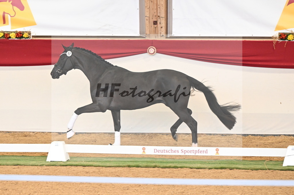 Kat.-Nr. 57 v. Feliciano_Vavrikova_3260609 | hf-fotografie - Realisiert mit Pictrs.com