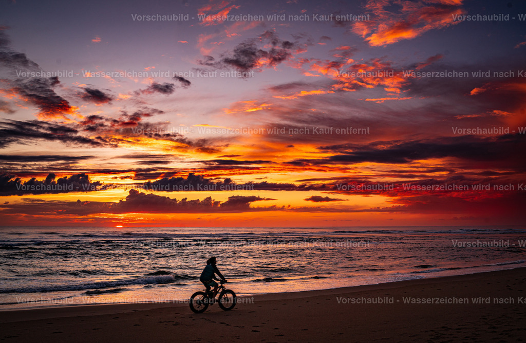 DSC01546 | marcuslinek