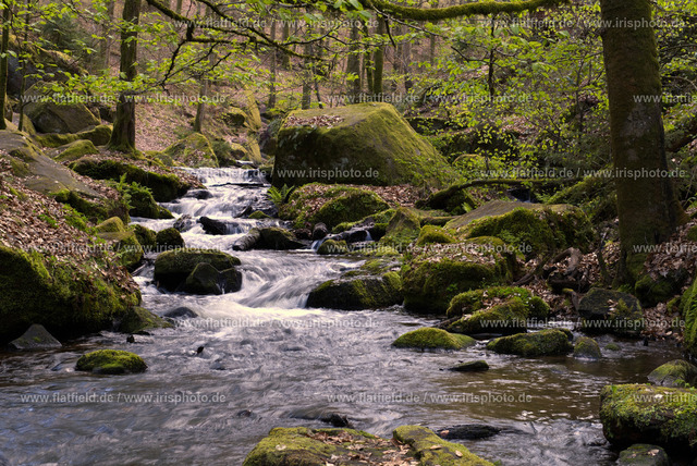 Bach in der Karlstalschlucht | Landschaftsfoto Pfälzer Wald