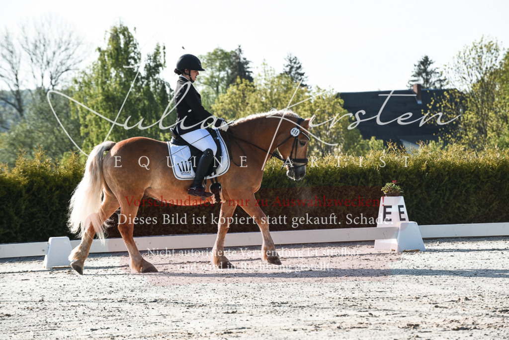 20230518_JK-Röhrsdorf-09-0322 | Pferde- und Turnierfotografie in Westsachsen. Pferdeportraits, Auftragszeichnungen und intuitive Kunst.