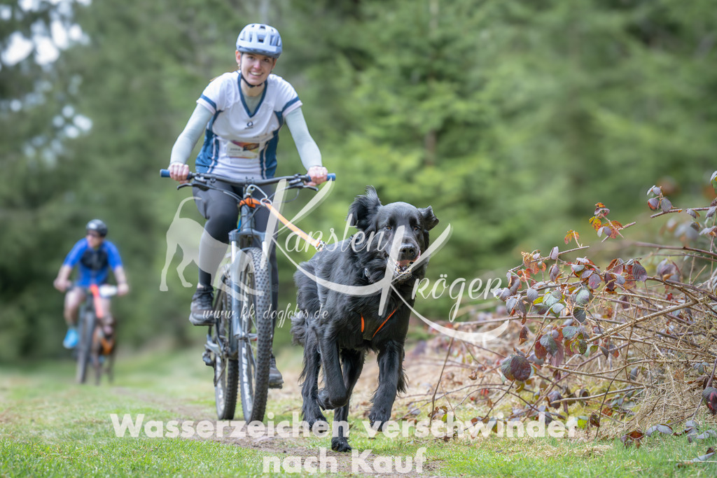 1312_ZZ94011 | kk-dogfotos