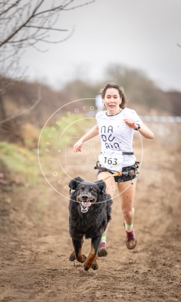 DV3A9617 | Hundefotografie, Tierfotograf, Pfotenfotografie, Fotoshooting Hund, Hunde Portrait, Hundesport, Hundeportraits, Heideshooting, Hunde, Sportfotograf, Hundefotograf, Turnierhundsport, THS,  - Realisiert mit Pictrs.com