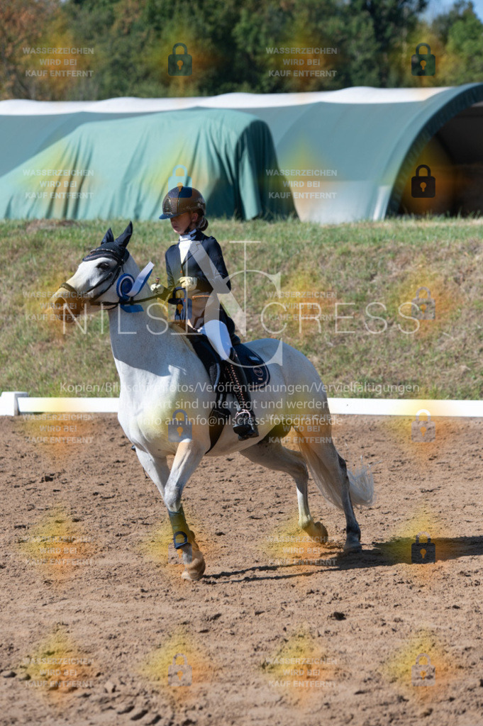 DSC_8457 | Nils Cress - Fotografie - Realisiert mit Pictrs.com