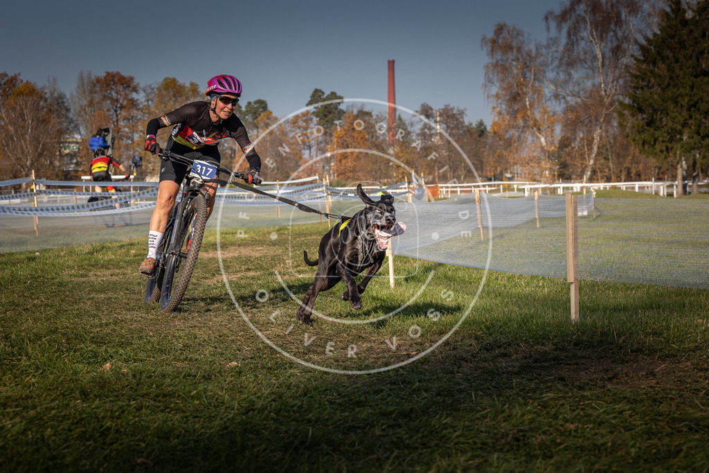 CaniXpix_0L8A6774 | Hundefotografie, Tierfotograf, Pfotenfotografie, Fotoshooting Hund, Hunde Portrait, Hundesport, Hundeportraits, Heideshooting, Hunde, Sportfotograf, Hundefotograf, Turnierhundsport, THS,  - Realisiert mit Pictrs.com