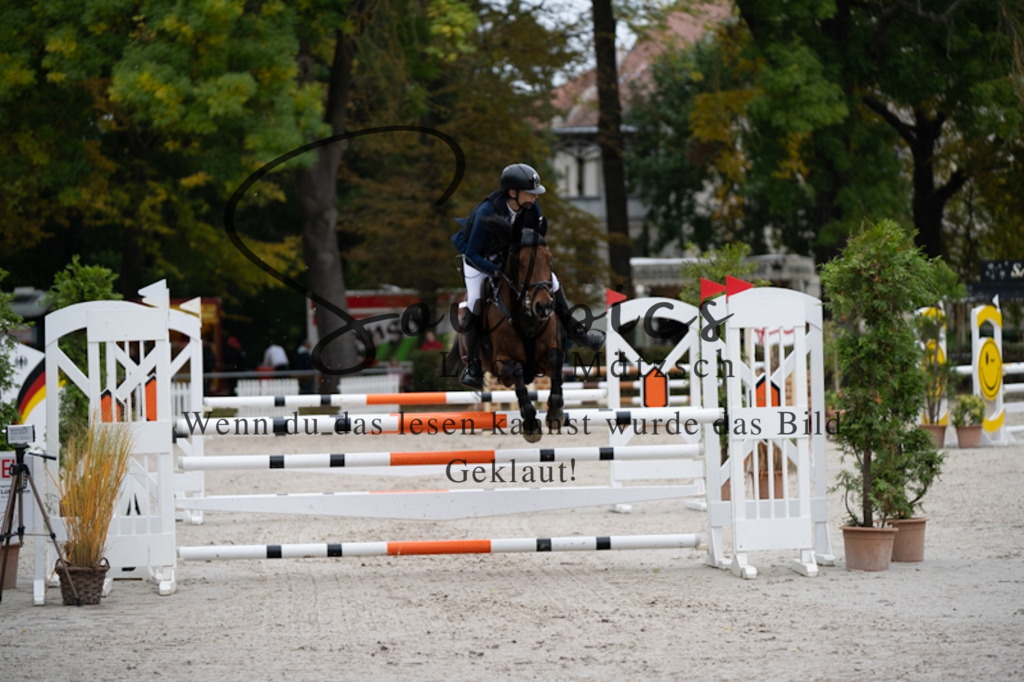 A7V00312 | Pferdefotograf