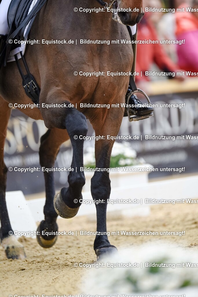 20250607_1_GP-Tour_Dressage_0094 | Foto: Thomas Hartig