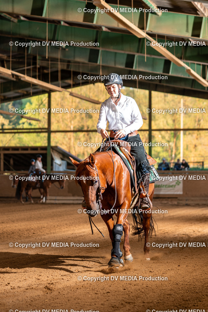 Balingen Tag 3-1641 | dv-media-shop - Realisiert mit Pictrs.com