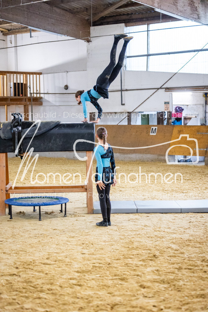 Holzpferd-056 | MomenTaufnahmen Pferdesportfotos