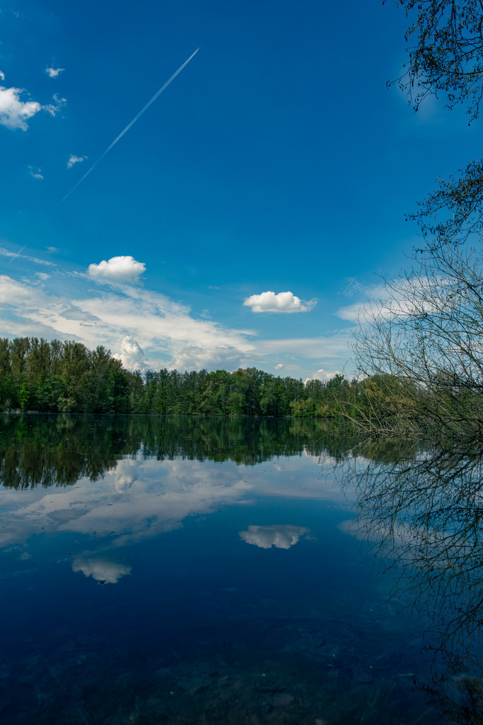DSCF5281-3 | Tier- & Landschaftsfotografie und Porträtshootings. Entdecke einzigartige Fotokunst als Wandbild, Tasse oder Mauspad – mit Leidenschaft fotografiert - Realisiert mit Pictrs.com