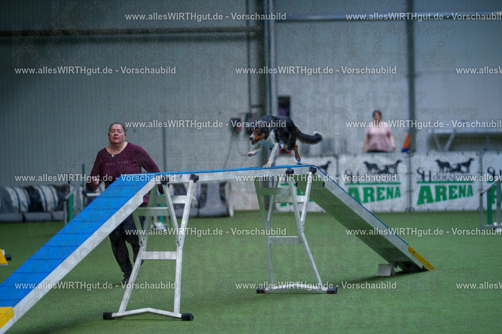 @allesWIRTHgut_Tierfotografie - www.allesWIRTHgut.de - 2604260929-7R507902 | Professionelle Tierfotografie in Mönchengladbach von Daniel Wirth (allesWIRTHgut). Liebevolle & natürliche Bilder von Hunden & Katzen für unvergessliche Erinnerungen.
