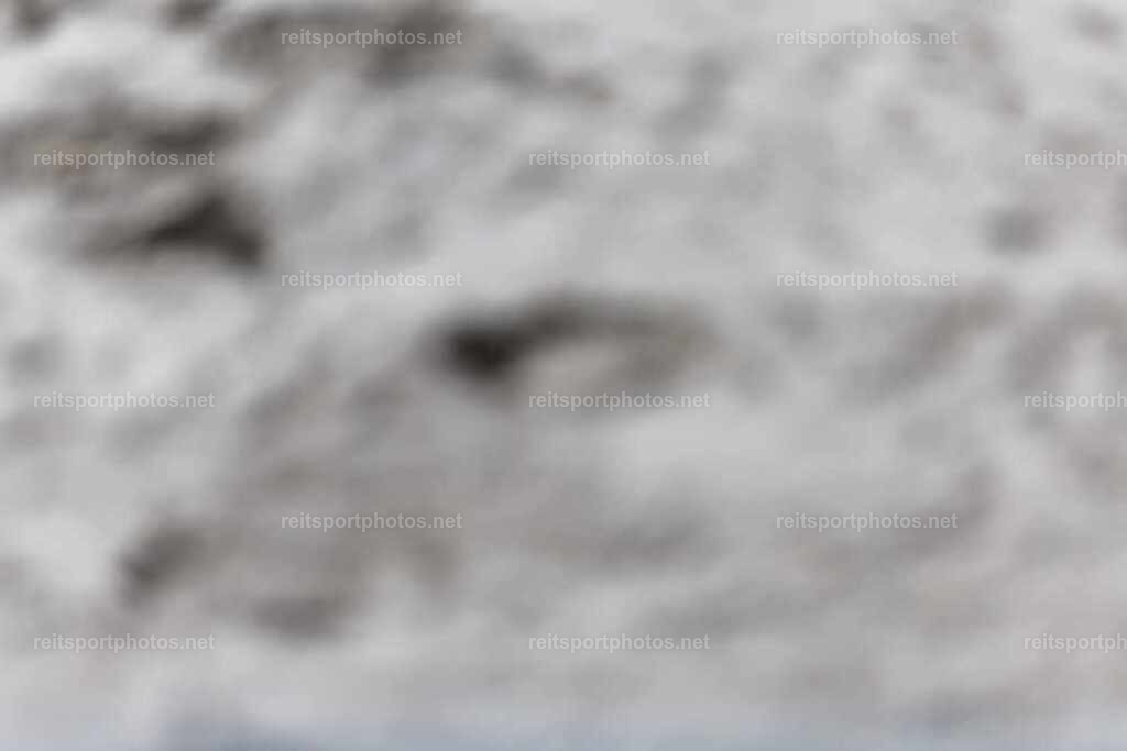 JoYaR3_Heidehof_00282 | JoYa Fotografie - Realisiert mit Pictrs.com