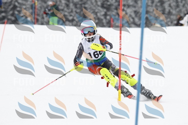 A1928 | holidayphoto