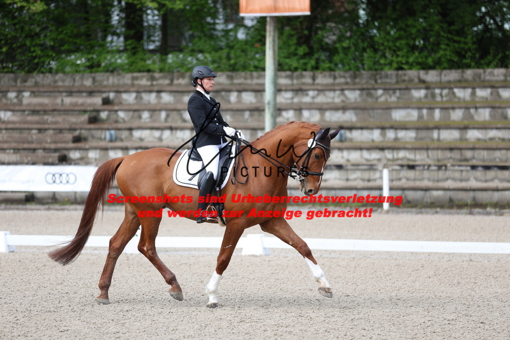 A40A0132 | lmwpictures - Realisiert mit Pictrs.com