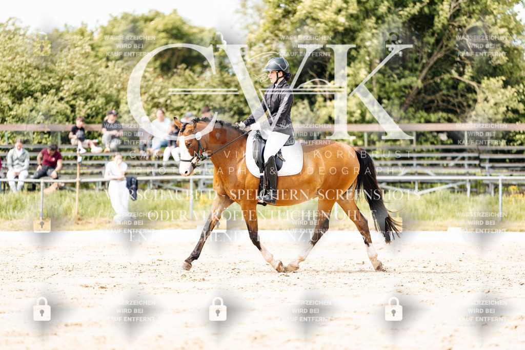 CK901230 | Turnierfotografie Pferdefotografie Trier Rheinland-Pfalz Pferdesport Reitsport Tierfotografie Sportfotografie Pferdevideo Pferdevideografie Equestrianvideography equestrianphotography  - Realisiert mit Pictrs.com