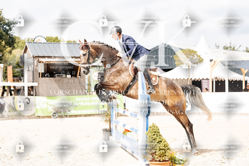 CK909209 | Turnierfotografie Pferdefotografie Trier Rheinland-Pfalz Pferdesport Reitsport Tierfotografie Sportfotografie Pferdevideo Pferdevideografie Equestrianvideography equestrianphotography  - Realisiert mit Pictrs.com