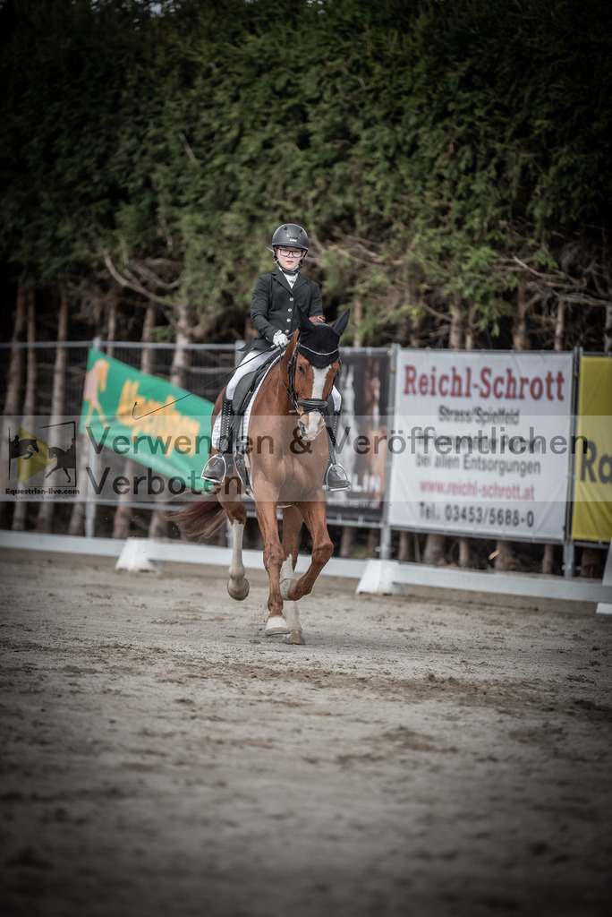 DSC_3265 | equestrian-live-com
