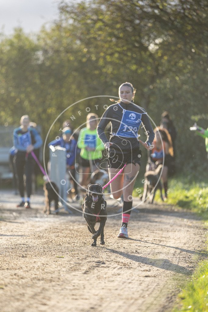 Pfotenfotografie.de_DV3A2859 | Hundefotografie, Tierfotograf, Pfotenfotografie, Fotoshooting Hund, Hunde Portrait, Hundesport, Hundeportraits, Heideshooting, Hunde, Sportfotograf, Hundefotograf, Turnierhundsport, THS, canicross - Realisiert mit Pictrs.com