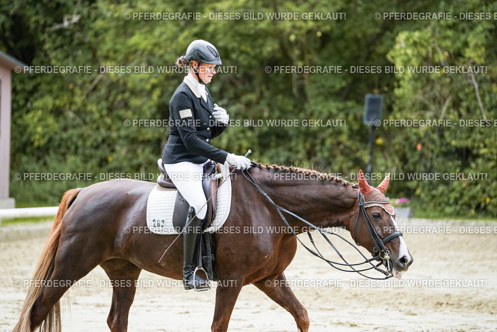 DSC06913 | Pferdegrafie