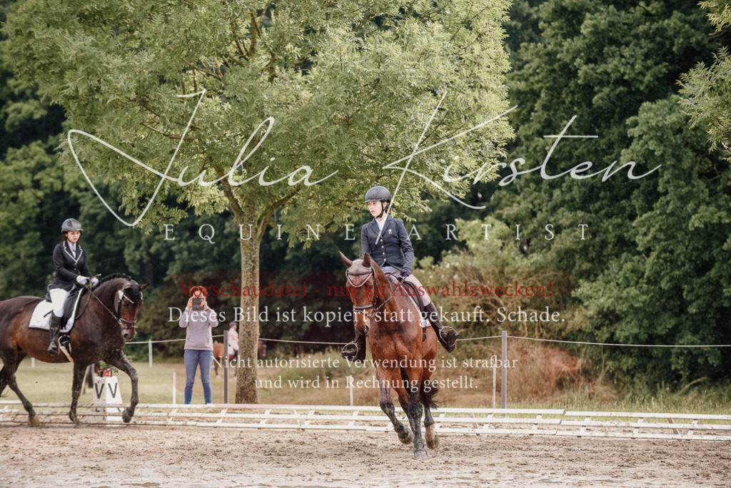 DSC_8637 | Pferde- und Turnierfotografie in Westsachsen. Pferdeportraits, Auftragszeichnungen und intuitive Kunst.