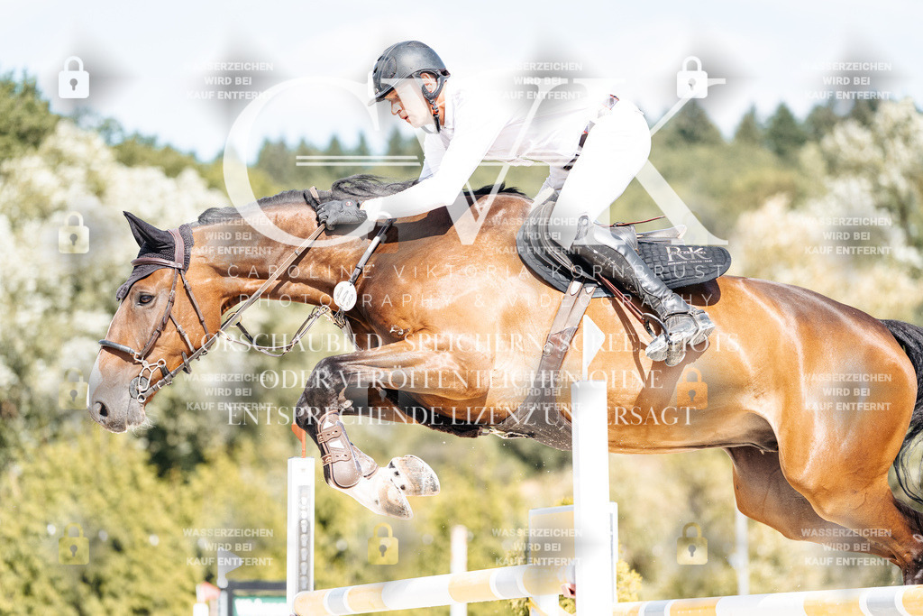CK908931 | Turnierfotografie Pferdefotografie Trier Rheinland-Pfalz Pferdesport Reitsport Tierfotografie Sportfotografie Pferdevideo Pferdevideografie Equestrianvideography equestrianphotography  - Realisiert mit Pictrs.com