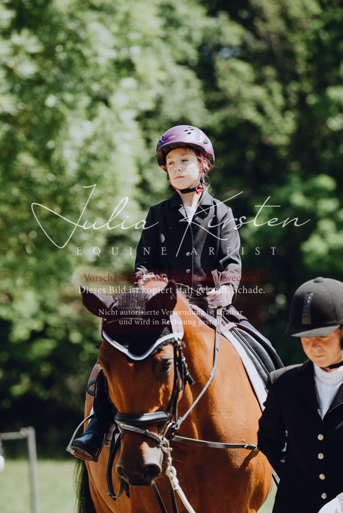 DSC_2112 | Pferde- und Turnierfotografie in Westsachsen. Pferdeportraits, Auftragszeichnungen und intuitive Kunst.