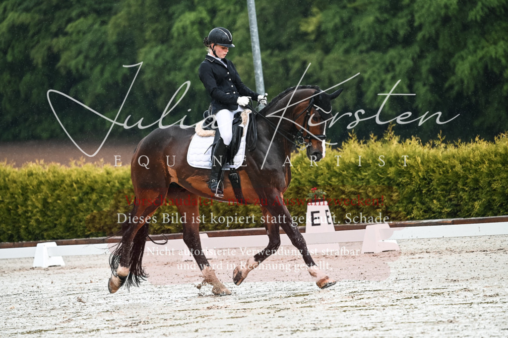 DSC_4147 | Pferde- und Turnierfotografie in Westsachsen. Pferdeportraits, Auftragszeichnungen und intuitive Kunst.