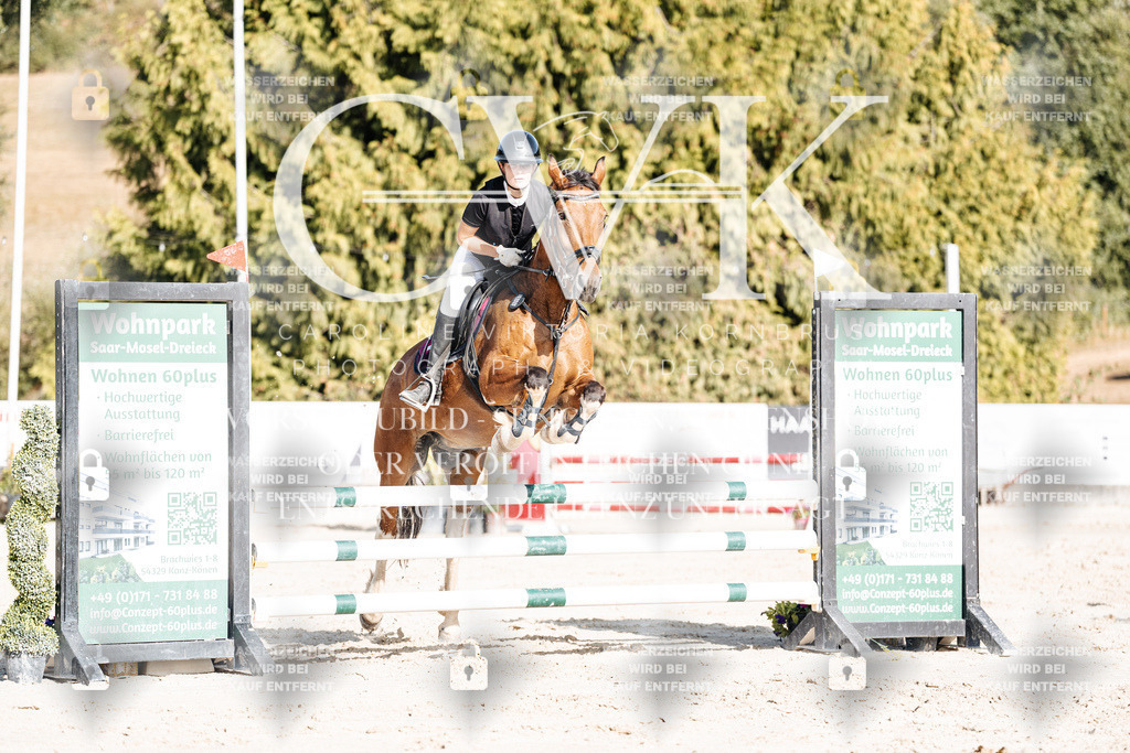 CK909369 | Turnierfotografie Pferdefotografie Trier Rheinland-Pfalz Pferdesport Reitsport Tierfotografie Sportfotografie Pferdevideo Pferdevideografie Equestrianvideography equestrianphotography  - Realisiert mit Pictrs.com
