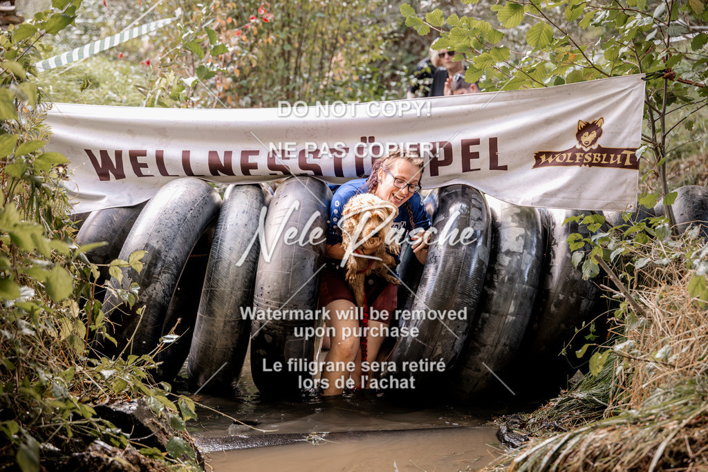 nelerasche_Hunsrück2026_Sa1400-1500_146 | nelerasche