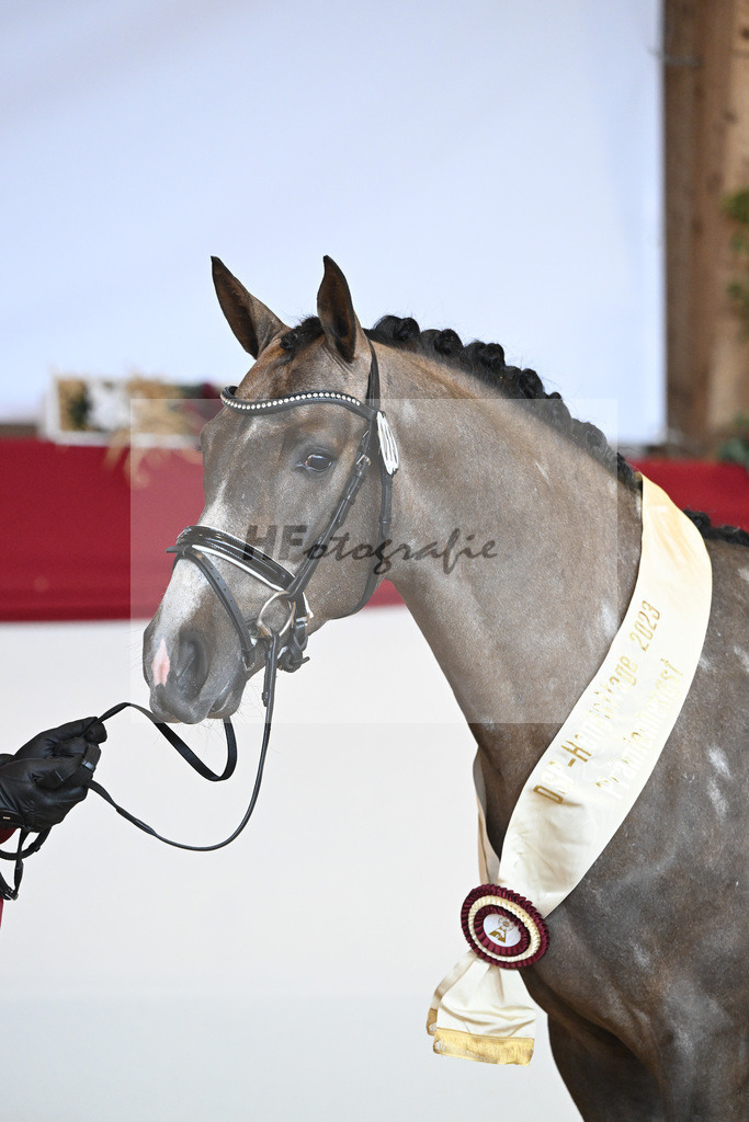 Kat-Nr. 13 Comme il faut NRW_PBM Pfefferle GmbH_1231785 | hf-fotografie - Realizzato con Pictrs.com