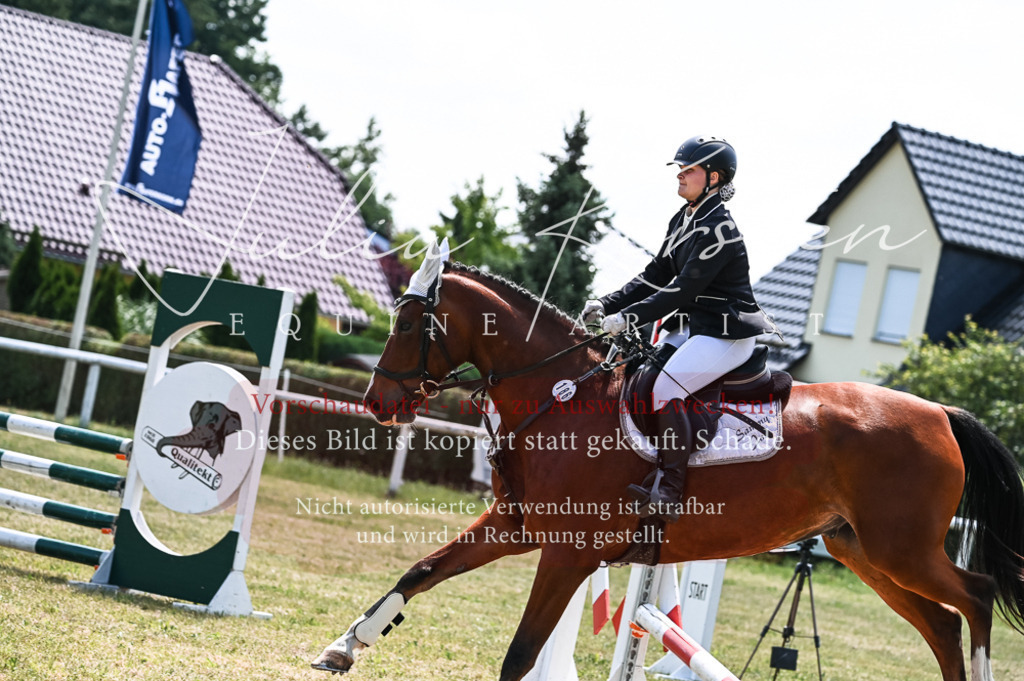 DSC_9840 | Pferde- und Turnierfotografie in Westsachsen. Pferdeportraits, Auftragszeichnungen und intuitive Kunst.