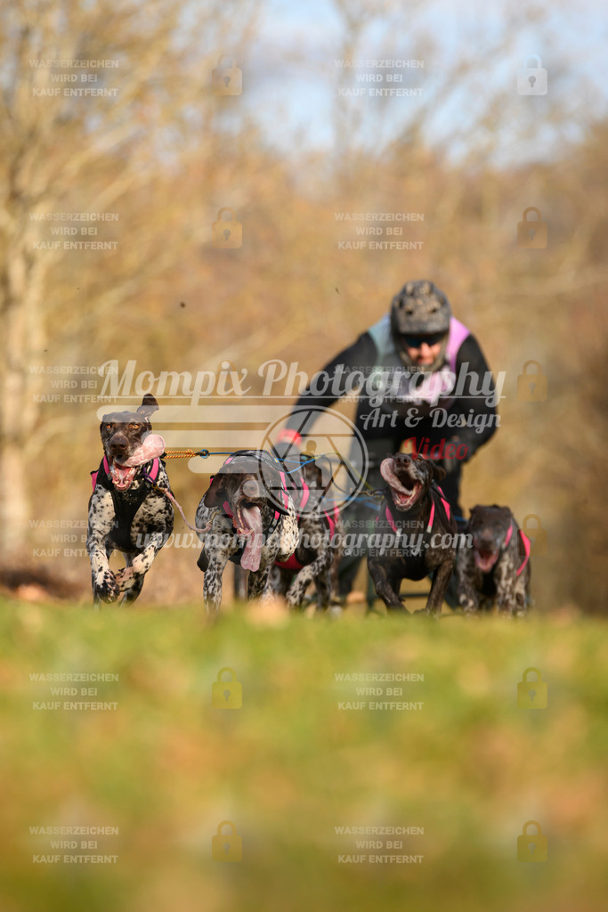 MompixPhotography_10Schwabentrail2026_SO_Kart-2 | PayLife