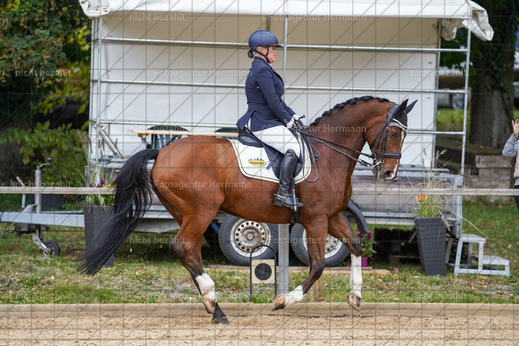 20231007-SN_00840 | Professionelle Turnier- und Reitsportfotografie - mit dem Finger am Auslöser. Pferdebilder aus dem Reitsport von den Turnierfotografen  Bayern , Pferdefotograf Bayern, Pferdeshooting Turnierbilder, Hochzeitsfotograf, Eventfotograf, Hochzeitsbilder