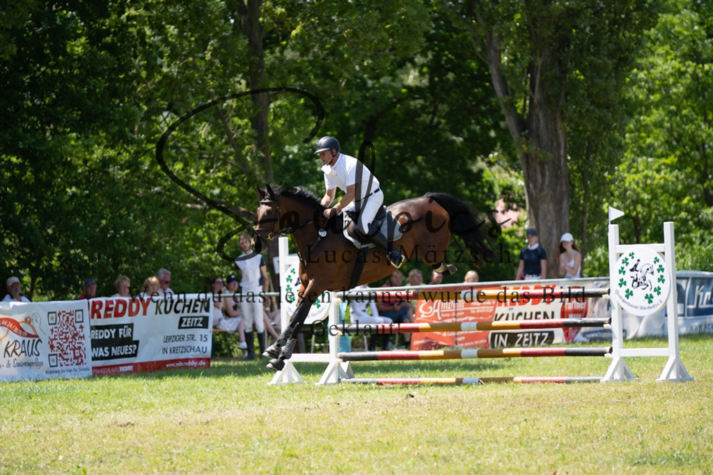 A7V06217 | Pferdefotograf