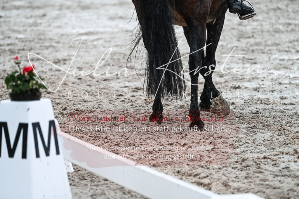DSC_4663 | Pferde- und Turnierfotografie in Westsachsen. Pferdeportraits, Auftragszeichnungen und intuitive Kunst.