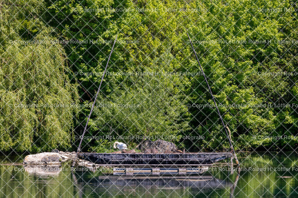 Im-Donautal-02 | IPTC Infos - Realisiert mit Pictrs.com