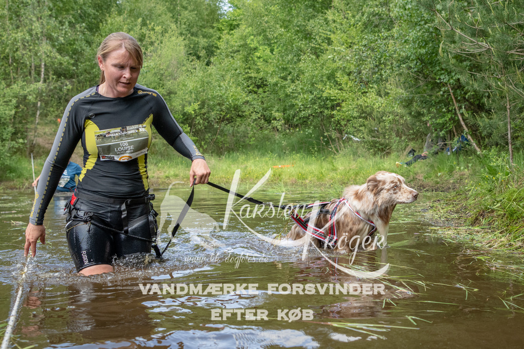 1243DKK993376 | kk-dogfotos