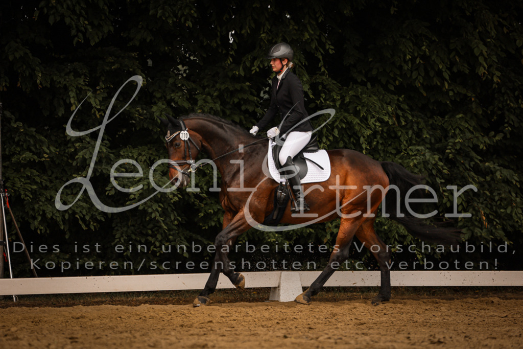 DoDrA00414 | Leoni Ertmer Photography - Realisiert mit Pictrs.com