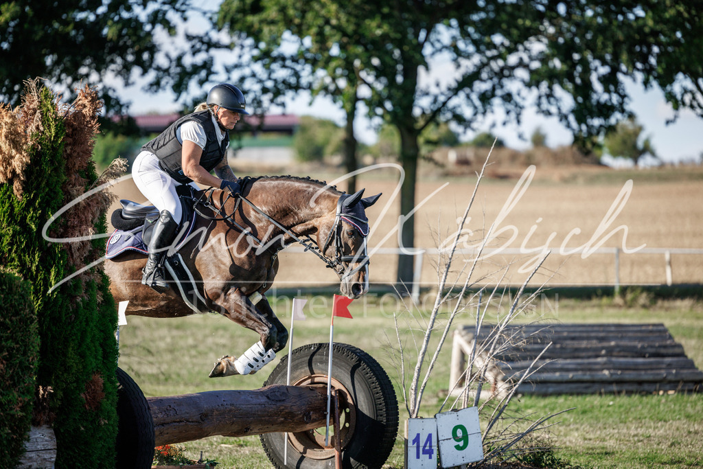 20260905-_3LI0745 | Tierfotografie Pferde, Hunde, Katzen, Haustiere.
Turnierfotografie Reitturniere, Reiten, Springreiten, Dressur in Hanau, dem Main-Kinzig-Kreis und dem Rhein-Main- Gebiet um Frankfurt