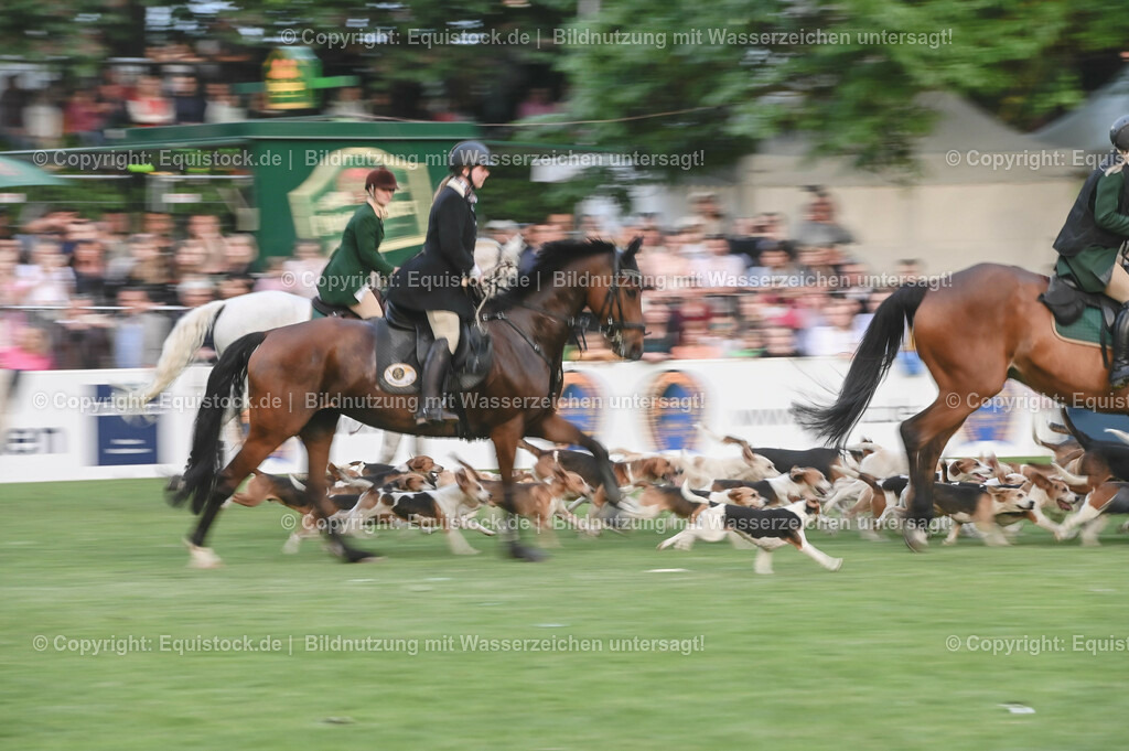 20230526_Pferdenacht_0652 | equistock