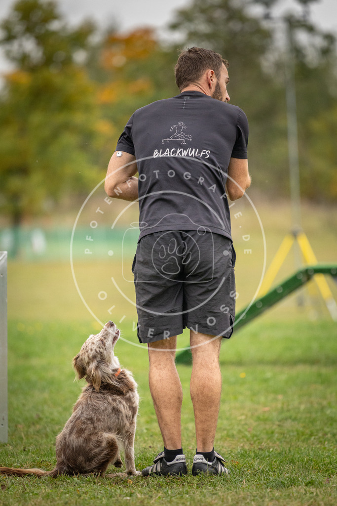 Pfotenfotografie_DV3A9950 | Hundefotografie, Tierfotograf, Pfotenfotografie, Fotoshooting Hund, Hunde Portrait, Hundesport, Hundeportraits, Heideshooting, Hunde, Sportfotograf, Hundefotograf, Turnierhundsport, THS,  - Realisiert mit Pictrs.com