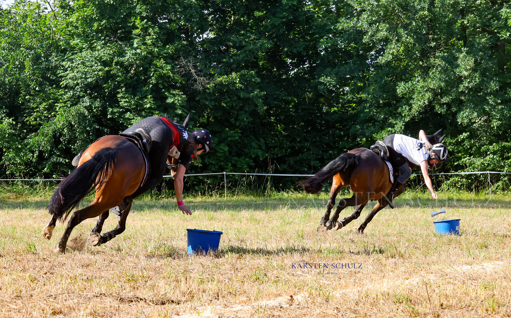 1B3A8547 | Reitsport Reiten