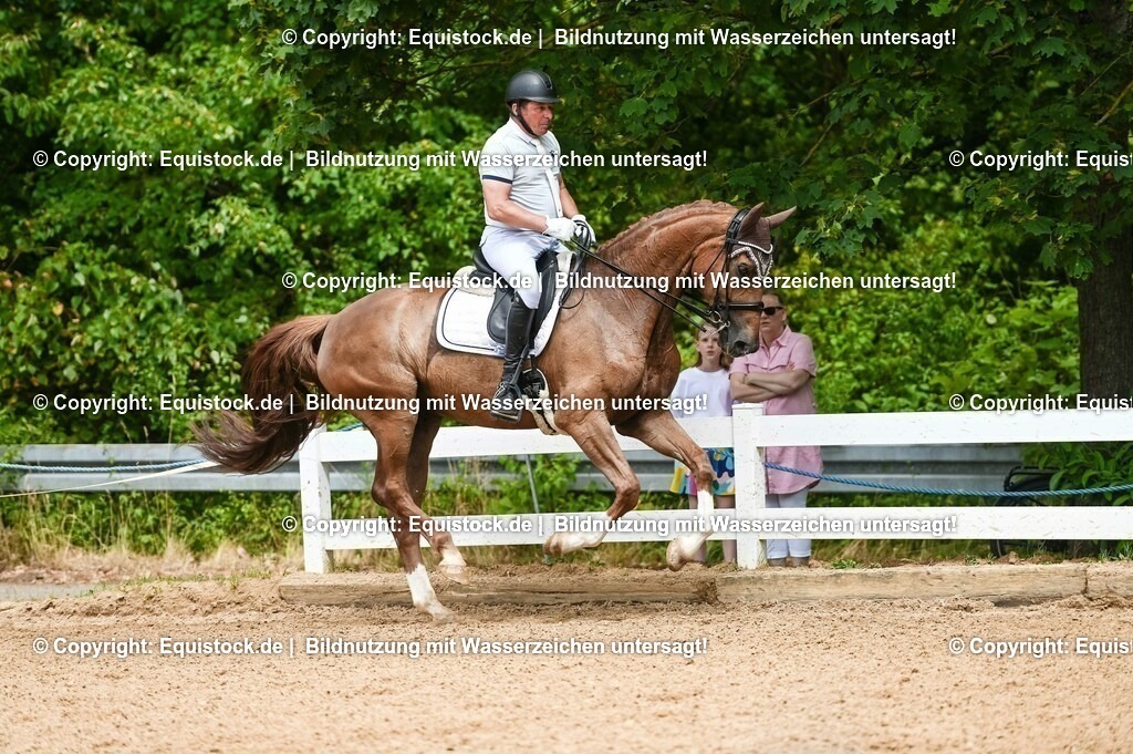 20230716_01_Dressurprüfung Kl.M_0103 | equistock