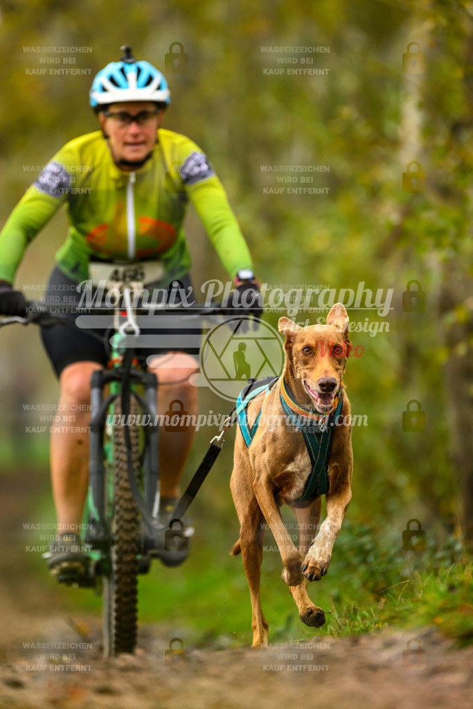 MompixPhotography_20TSB_E6_Bike-158 | mompixphotography