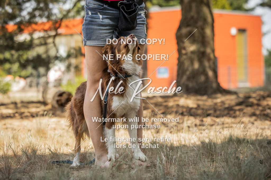nelerasche_soDD3_131 | nelerasche
