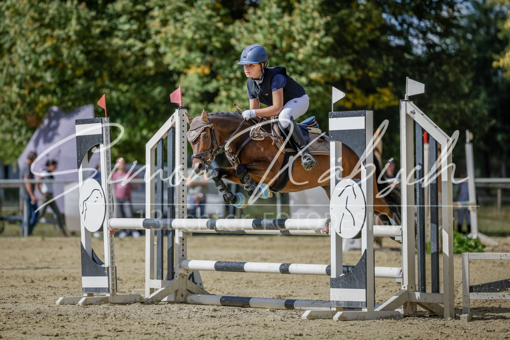 20250906-_3LI6494 | Tierfotografie Pferde, Hunde, Katzen, Haustiere.
Turnierfotografie Reitturniere, Reiten, Springreiten, Dressur in Hanau, dem Main-Kinzig-Kreis und dem Rhein-Main- Gebiet um Frankfurt