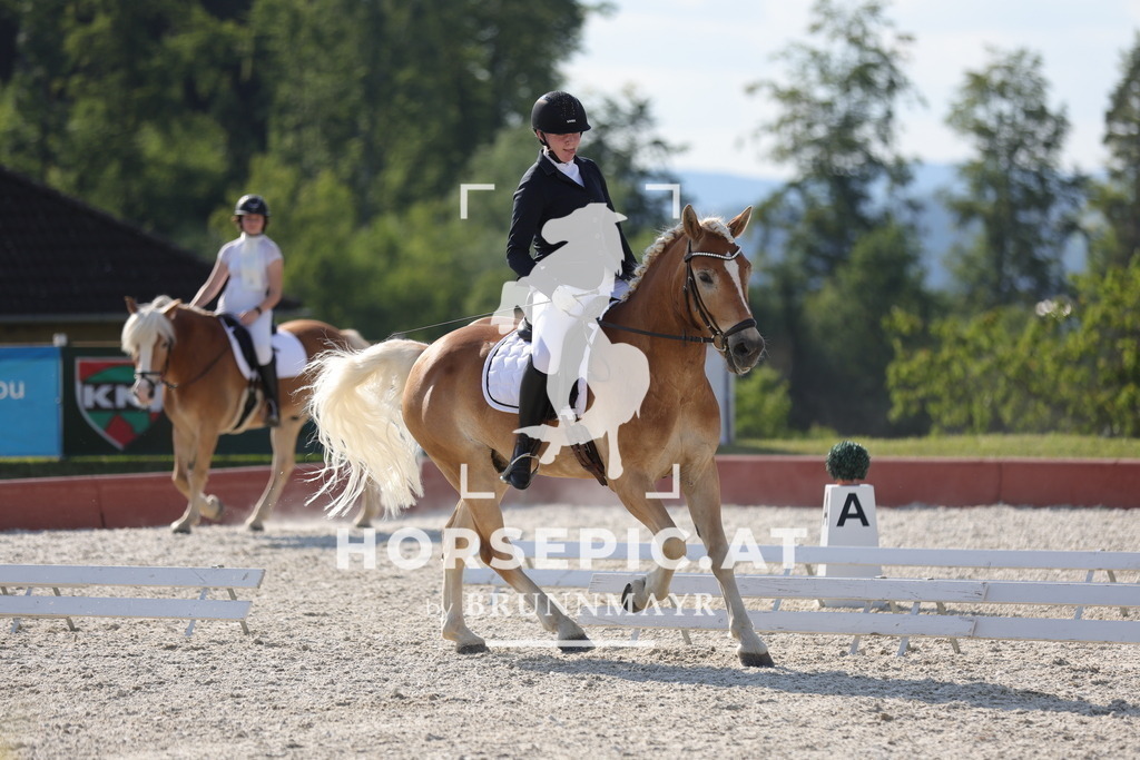 0P6A8758 | Willkommen bei Brunnmayr - Design & Fotografie – Ihrem Spezialisten für Reitturniere und Pferdeveranstaltungen in Oberösterreich, Salzburg und Bayern! Seit über 17 Jahren sind wir leidenschaftlich dabei.