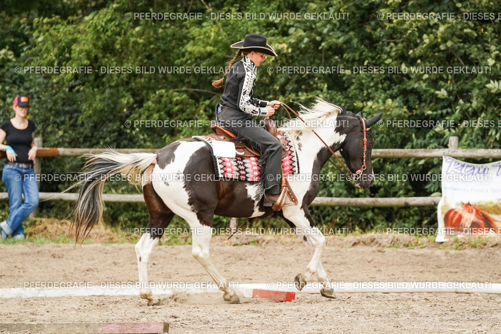 DSC08423 | Pferdegrafie